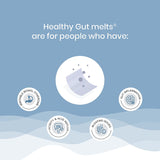 Wellbeing Nutrition Melts Healthy Gut Probiotic+Enzyme+ACV (30 Oral Strips)