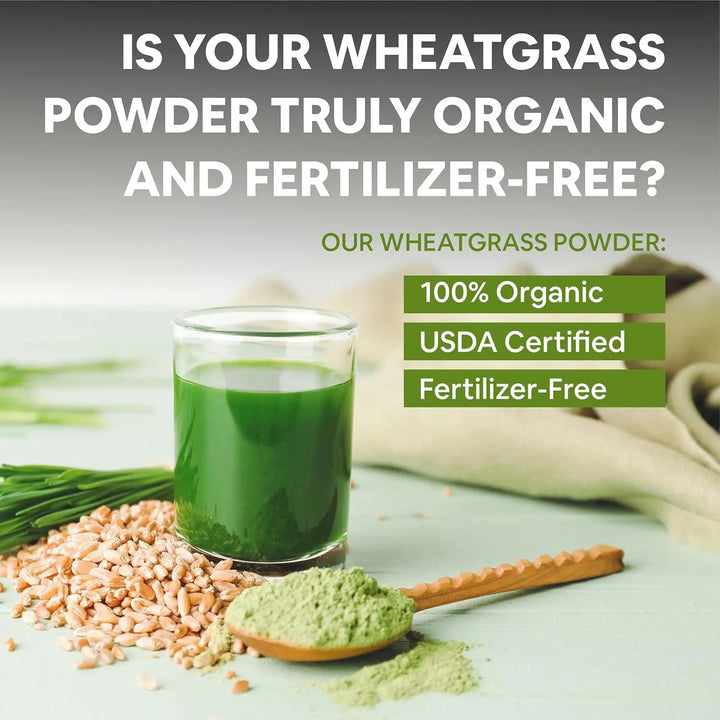 Carbamide Forte 100% Natural Organic Wheatgrass Powder 100g - Halt
