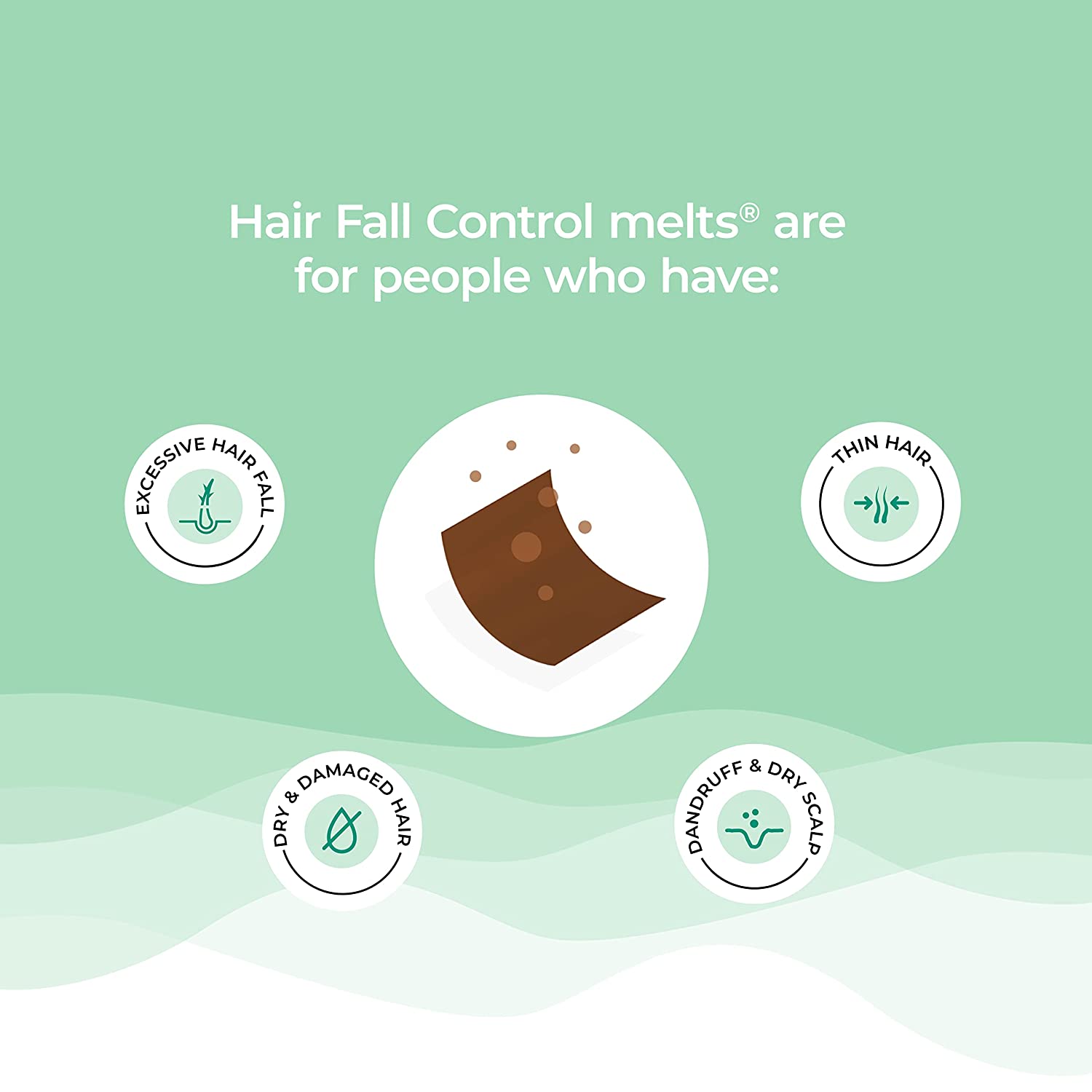Wellbeing Nutrition Melts Hair Fall Control (30 Oral Strips)