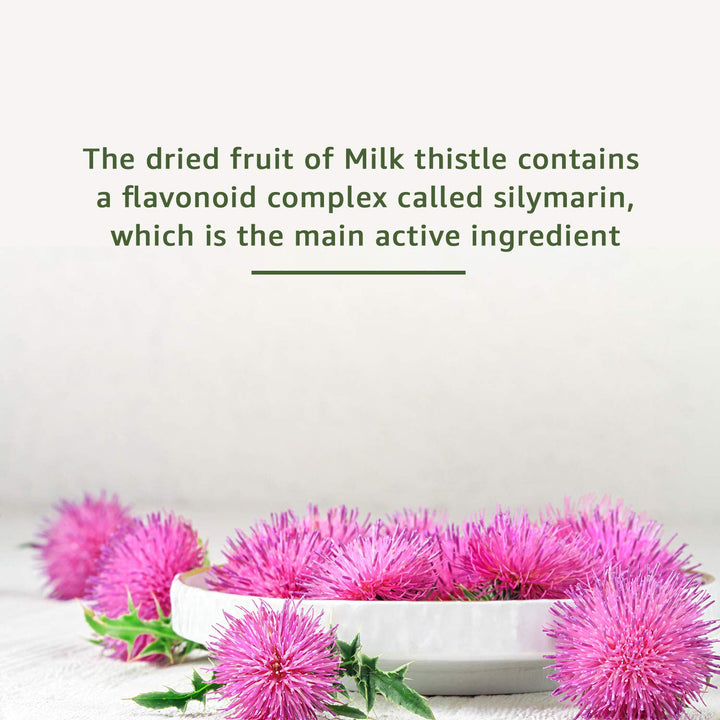 milk thistle multivitamin supplement