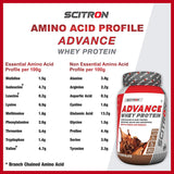 Scitron Advance Whey Protein 1kg (Milk Chocolate)