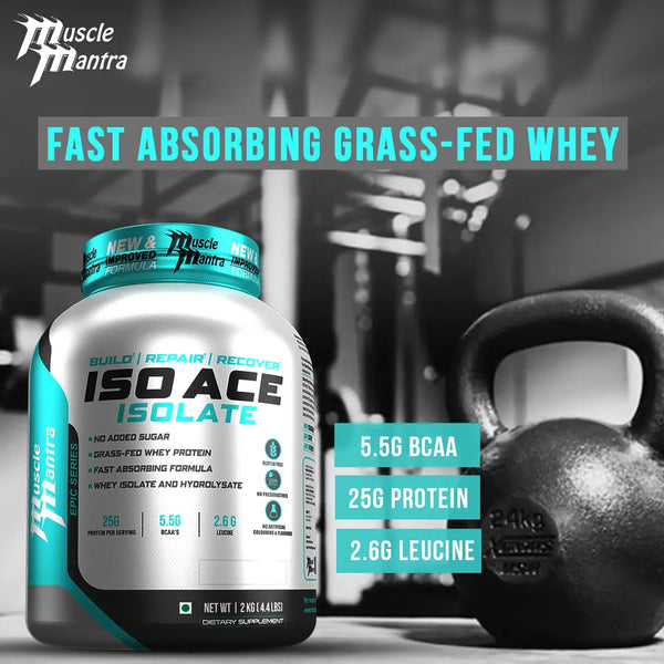 cheap protein powder 